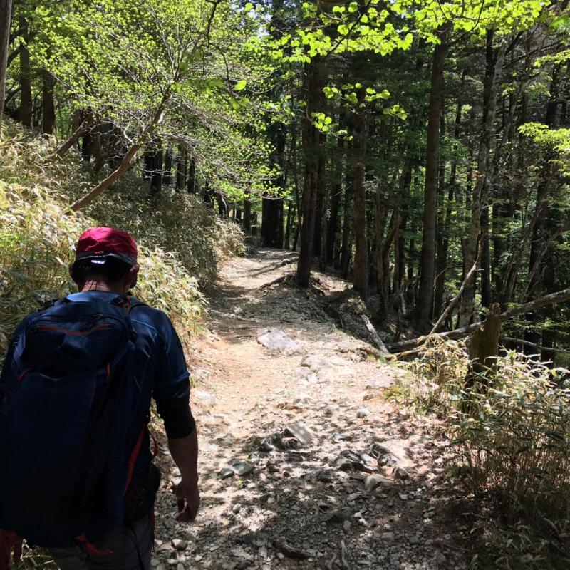 のんびりスタート